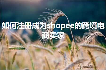 璺ㄥ鐢靛晢鐭ヨ瘑:濡備綍娉ㄥ唽鎴愪负shopee鐨勮法澧冪數鍟嗗崠瀹? width=